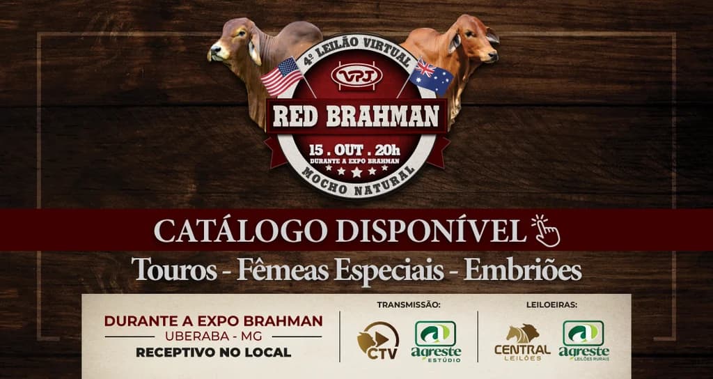 Banner do 4º Leilão Virtual Red Brahman