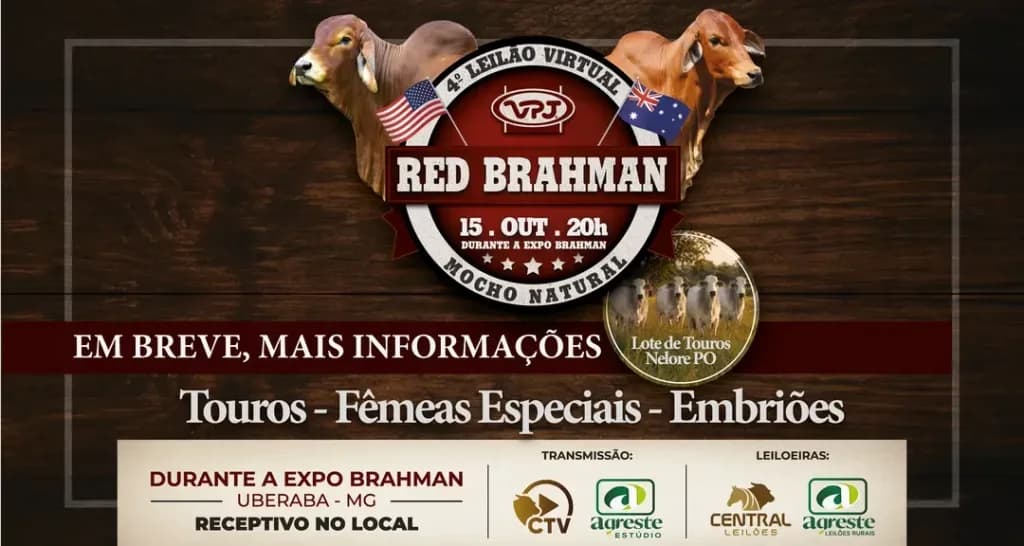 Banner do 4º Leilão Virtual Red Brahman