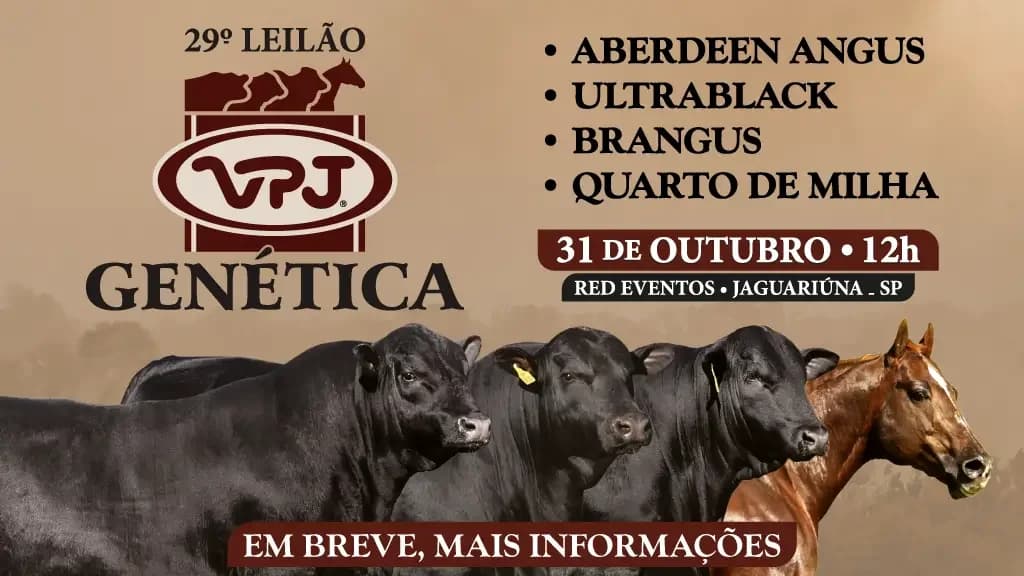 Banner do 29º Leilão VPJ Genética