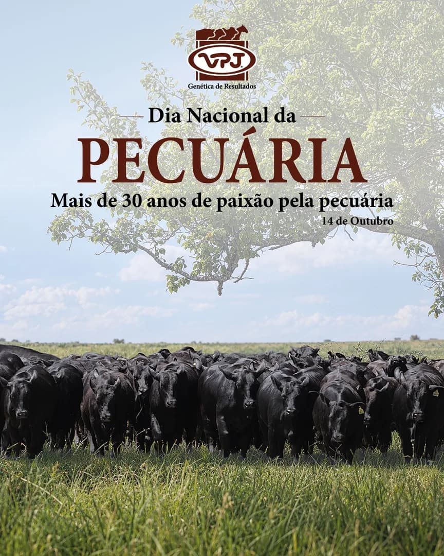 🐂🌱 A VPJ PECUÁRIA transforma paixão em resultados, contribuindo para a evolução da pecuária brasileira por meio da genética de excelência!

Neste Dia Nacional da Pecuária, celebram