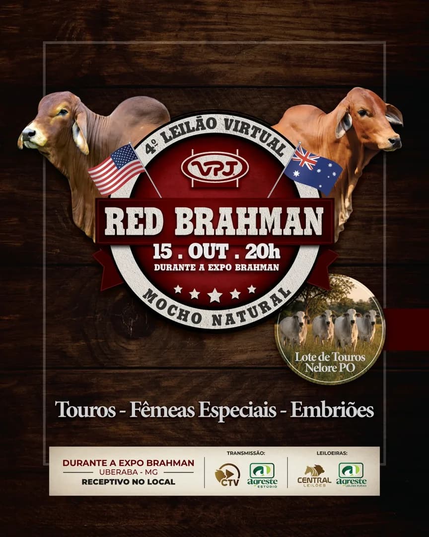 Anote na agenda e marque presença no 4º LEILÃO RED BRAHMAN VPJ MOCHO NATURAL!

📍 Dia 15 de Outubro, às 20h, durante a EXPOBRAHMAN em Uberaba-MG.

🔥 Grande oportunidade de adquirir