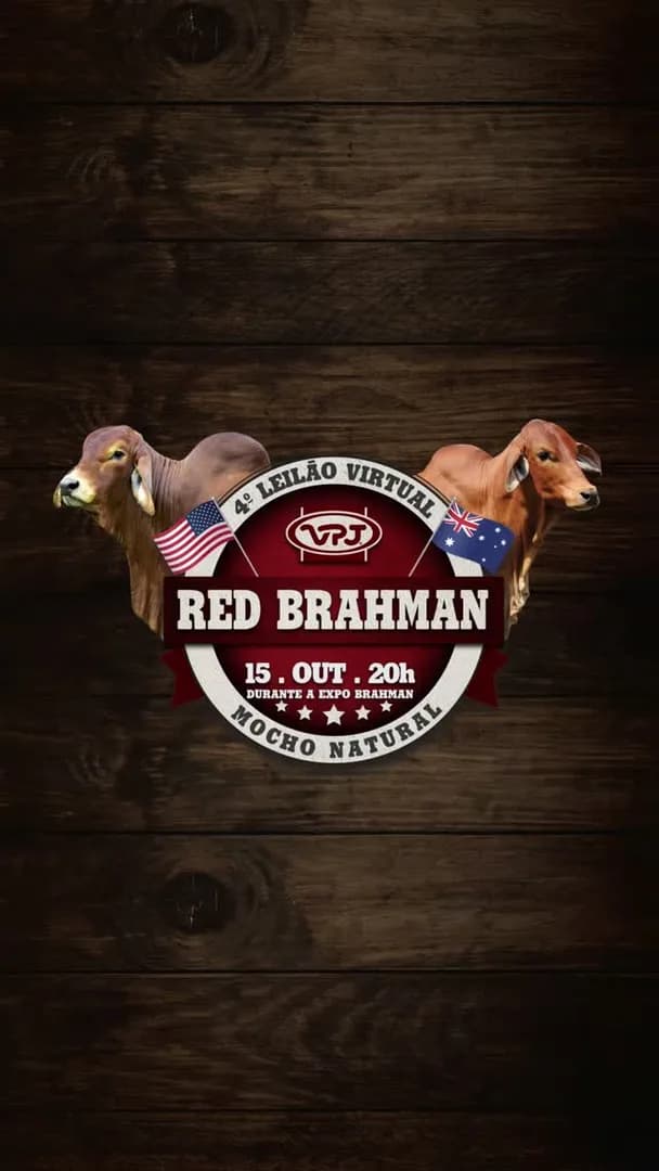 NÃO PERCA O 4º LEILÃO VIRTUAL VPJ RED BRAHMAN MOCHO NATURAL!

🔥 Grande oportunidade de Adquirir o melhor da genética internacional do Red Brahman no Brasil

✅ Touros de Central

✅