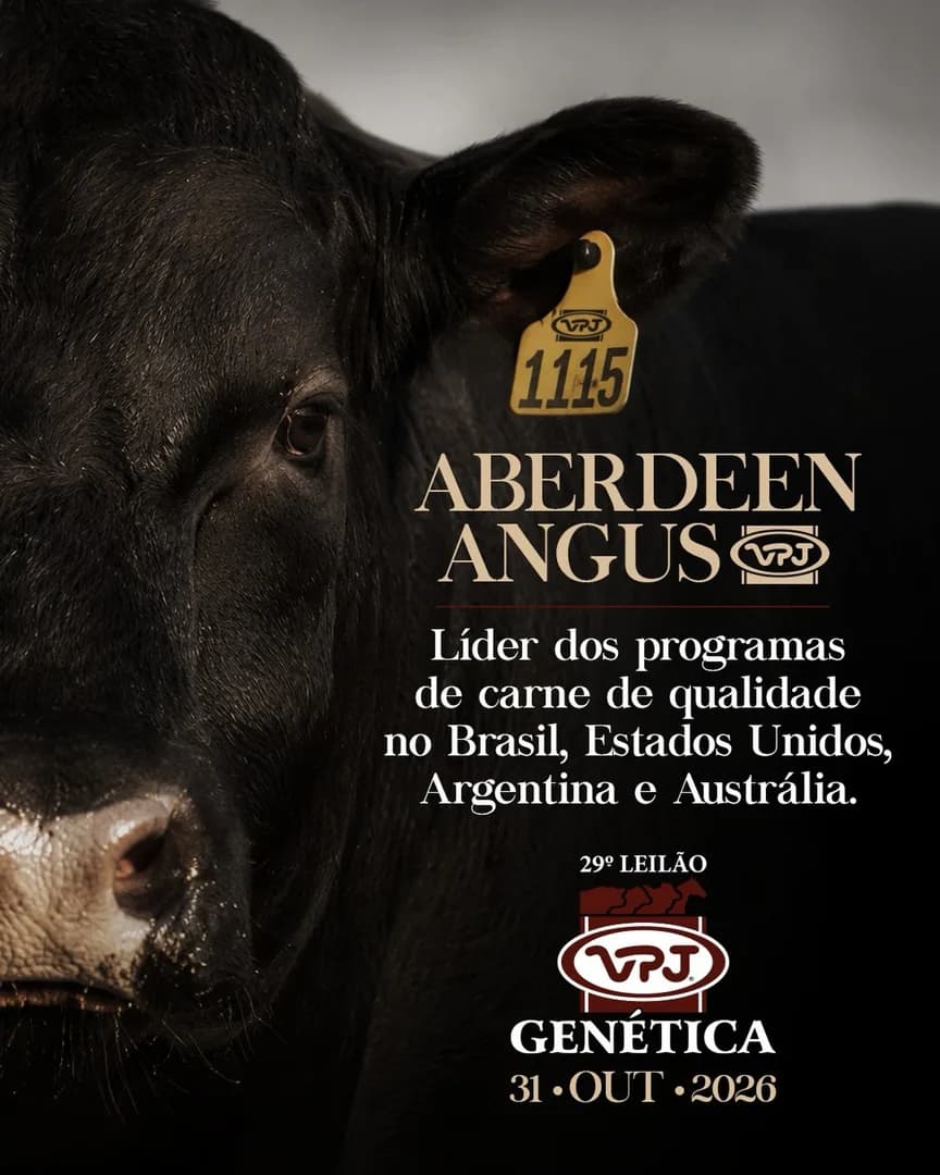 Líder dos programas de carne de qualidade no Brasil, nos Estados Unidos, na Argentina e na Austrália, a raça ABERDEEN ANGUS se consolidou ao redor do mundo como a genética que agre