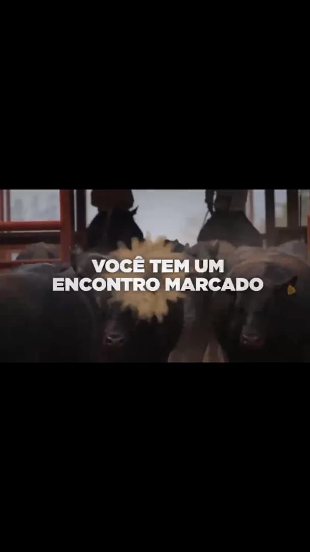 💥Catálogo disponível💥

Está no ar o catálogo completo do 29º Leilão VPJ Genética:

Confira agora, clique no link da bio e acesse agora.

📅 31 de outubro | 12h
📍 Transmissão: CTV, L