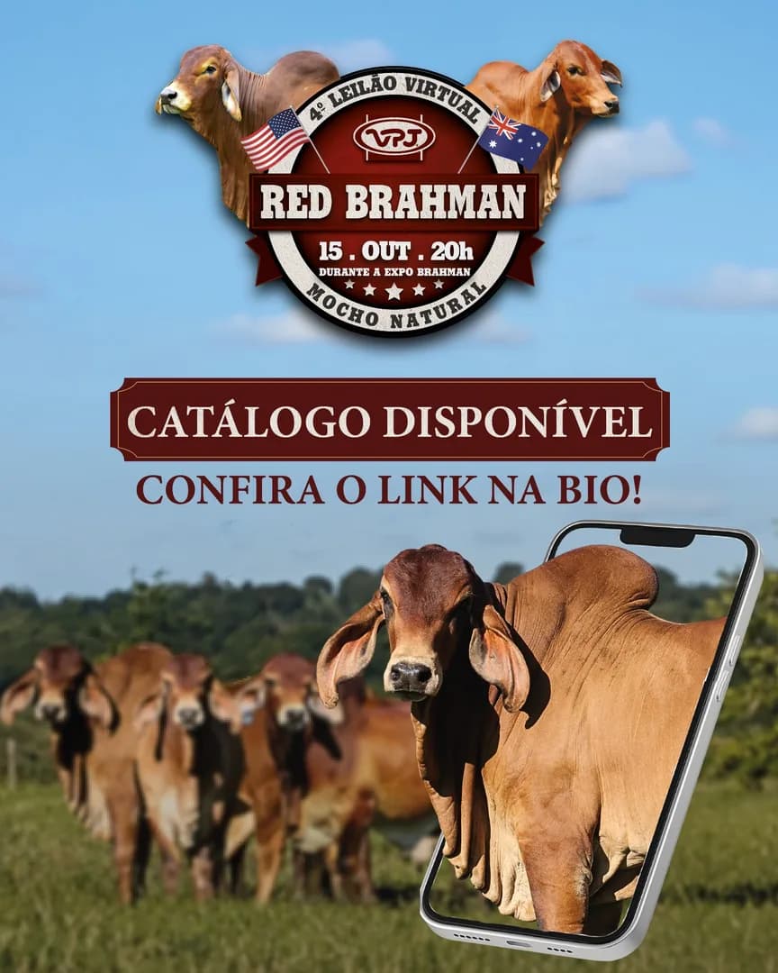 💥Catálogo disponível💥

Está no ar o catálogo completo do 4º Leilão Virtual VPJ Red Brahman Mocho Natural!

📅 15 de outubro | 20h
📍 Durante a Expo Brahman – Uberaba/MG

👉 Confira to