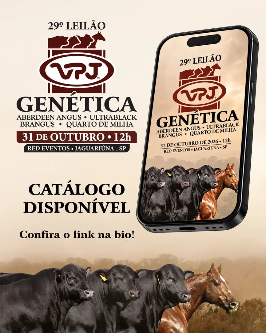 💥Catálogo disponível💥

Está no ar o catálogo completo do 29º Leilão VPJ Genética: Confira agora, clique no link da bio e confira os lotes disponíveis.

📅 31 de outubro | 12h
📍 Tran