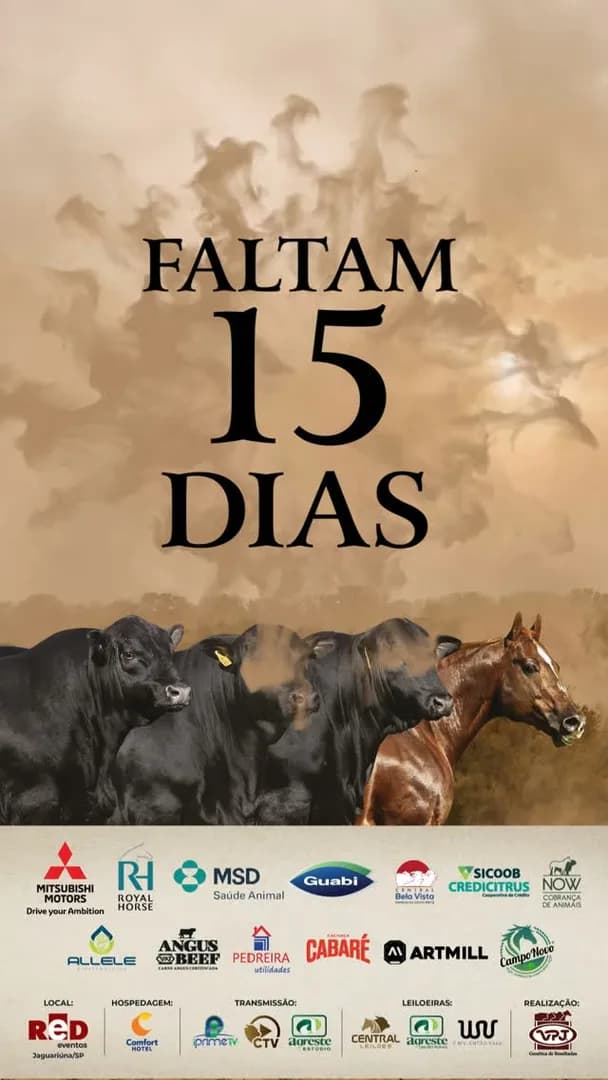 Faltam 15 dias para o 29° Leilão VPJ Genética!

📍 Dia 31 de Outubro, às 12h na Red Eventos em Jaguariúna.

🔥 Grande oportunidade de você adquirir os melhores animais da seleção VPJ