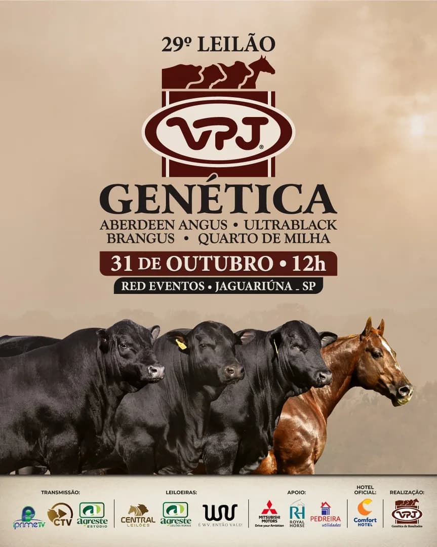 Anote na sua agenda e marque presença no 29° Leilão VPJ Genética!

📍 Dia 31 de Outubro, às 12h na Red Eventos em Jaguariúna.

🔥 Grande oportunidade de você adquirir os melhores ani