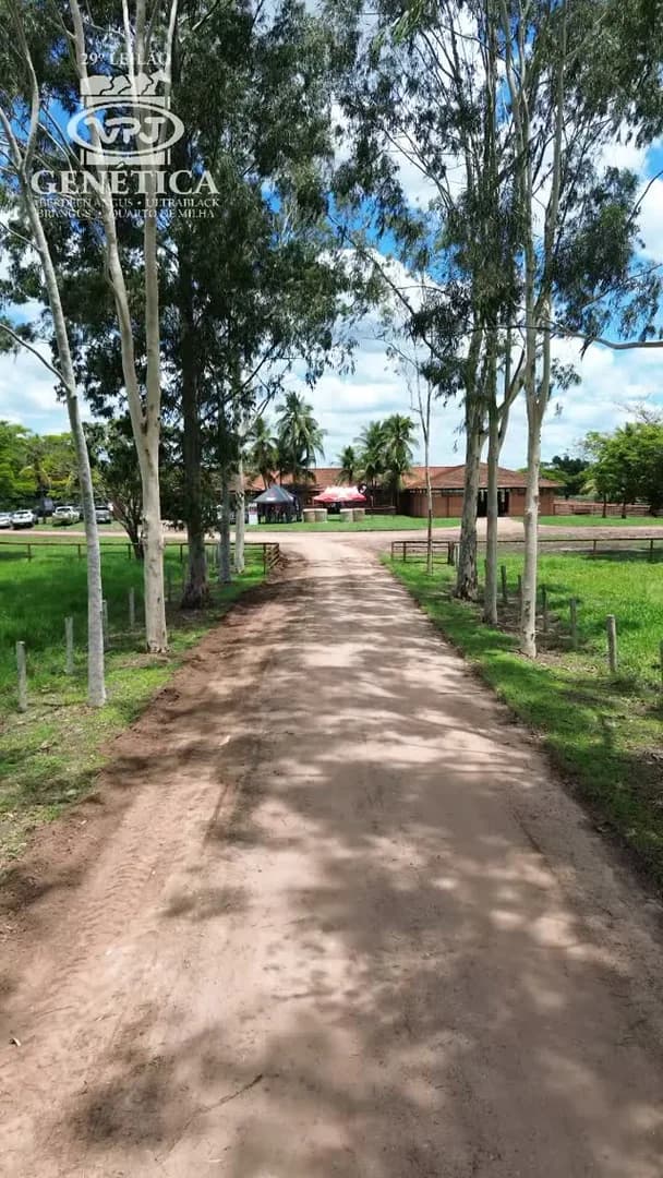 🎥✨ Um dia de campo marcado pela qualidade, genética e grandes expectativas!

No último domingo, 18/10, reunimos criadores, parceiros e amigos para conhecer de perto alguns dos anim