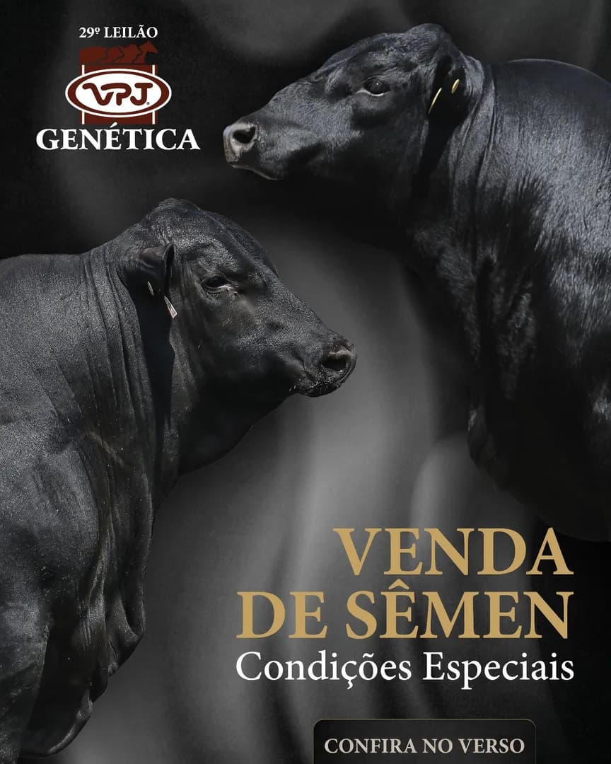 Promoção de sêmen 29º Leilão VPJ Genética 

Anote na sua agenda e marque presença no 29° Leilão VPJ Genética!

📍 Dia 31 de Outubro, às 12h na Red Eventos em Jaguariúna.

🔥 Grande o