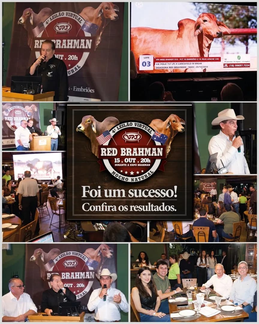 *LEILÃO VPJ RED BRAHMAN TEVE TOURO VALORIZADO EM R$ 184.000,00*

Realizado na noite de 15 de outubro, o 4º Leilão VPJ Red Brahman foi um sucesso de vendas. 

O grande destaque entr