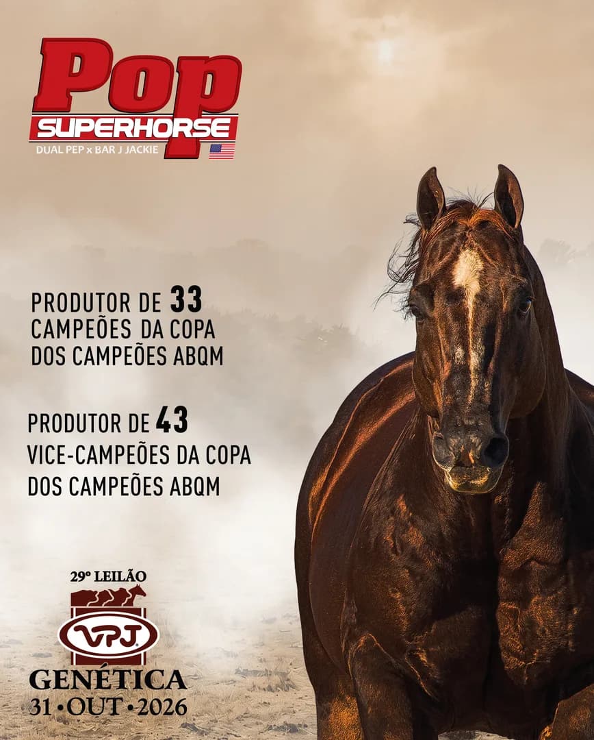 🏆 A Copa dos Campeões reúne os classificados do Congresso ABQM e do Campeonato Nacional ABQM. Somente na Copa dos Campeões, o POP SUPER HORSE produziu 33 campeões e 43 vice-campeõe