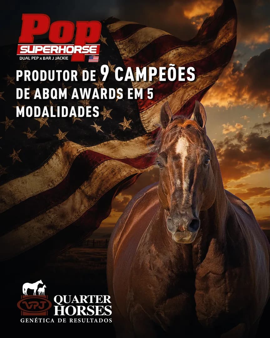 Conheça os nove produtos do POP SUPER HORSE ganhadores do ABQM AWARDS

📅 No dia 31 de outubro de 2026, teremos um dos mais aguardados leilões do ano: o 29º LEILÃO VPJ GENÉTICA.

🔥