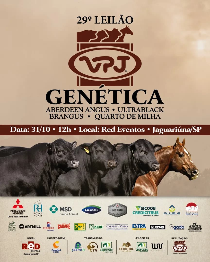 Anote na sua agenda e marque presença no 29° Leilão VPJ Genética!

📍 Dia 31 de Outubro, às 12h na Red Eventos em Jaguariúna.

🔥 Grande oportunidade de você adquirir os melhores ani