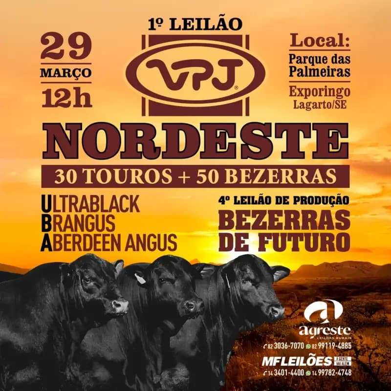 Cartaz do 1° Leilão VPJ Nordeste