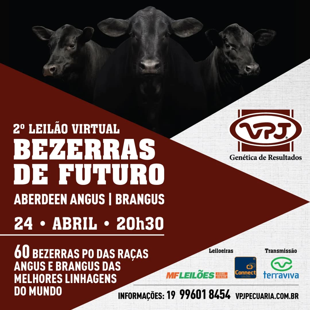 Cartaz do 2º Leilão Bezerras de Futuro