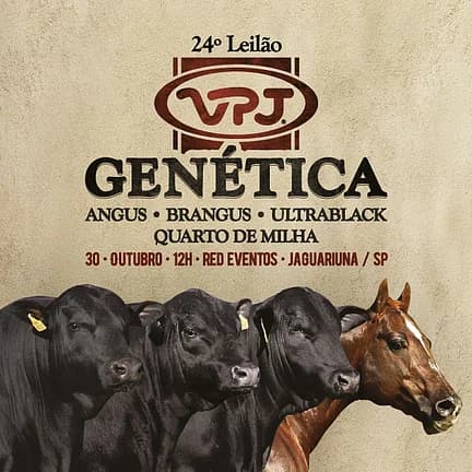 Cartaz do 24º Leilão VPJ Genética