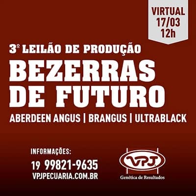 Cartaz do 3º Leilão virtual - Bezerras de Futuro