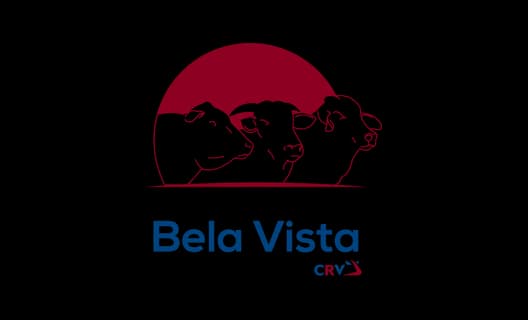Bela Vista