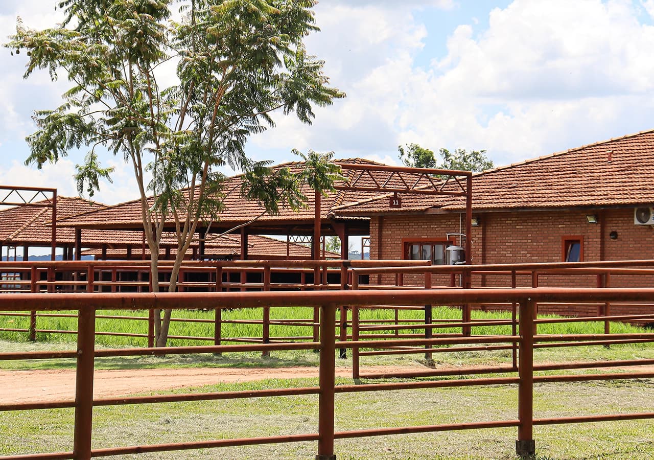 Fazenda Cardinal, Mococa, SP