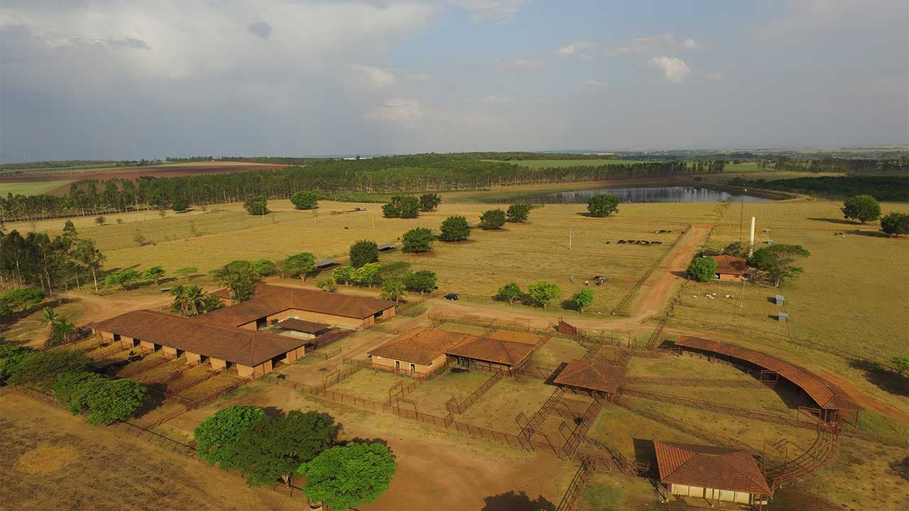 Fazenda Cardinal, Mococa, SP