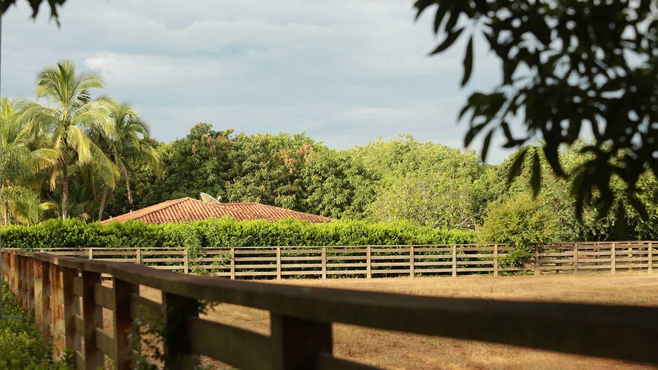 Fazenda Cardinal, Mococa, SP