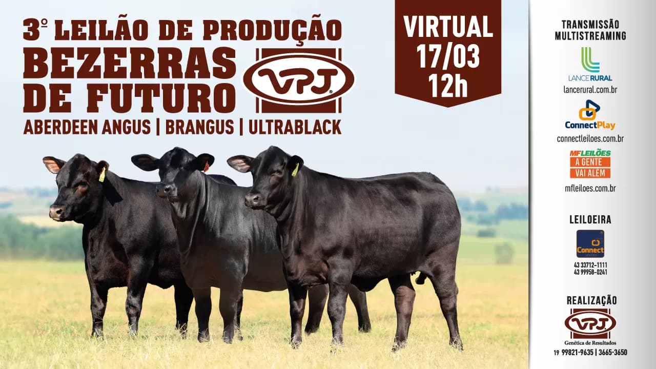 Terceira Edição do Leilão Virtual de Produção Bezerras de Futuro VPJ