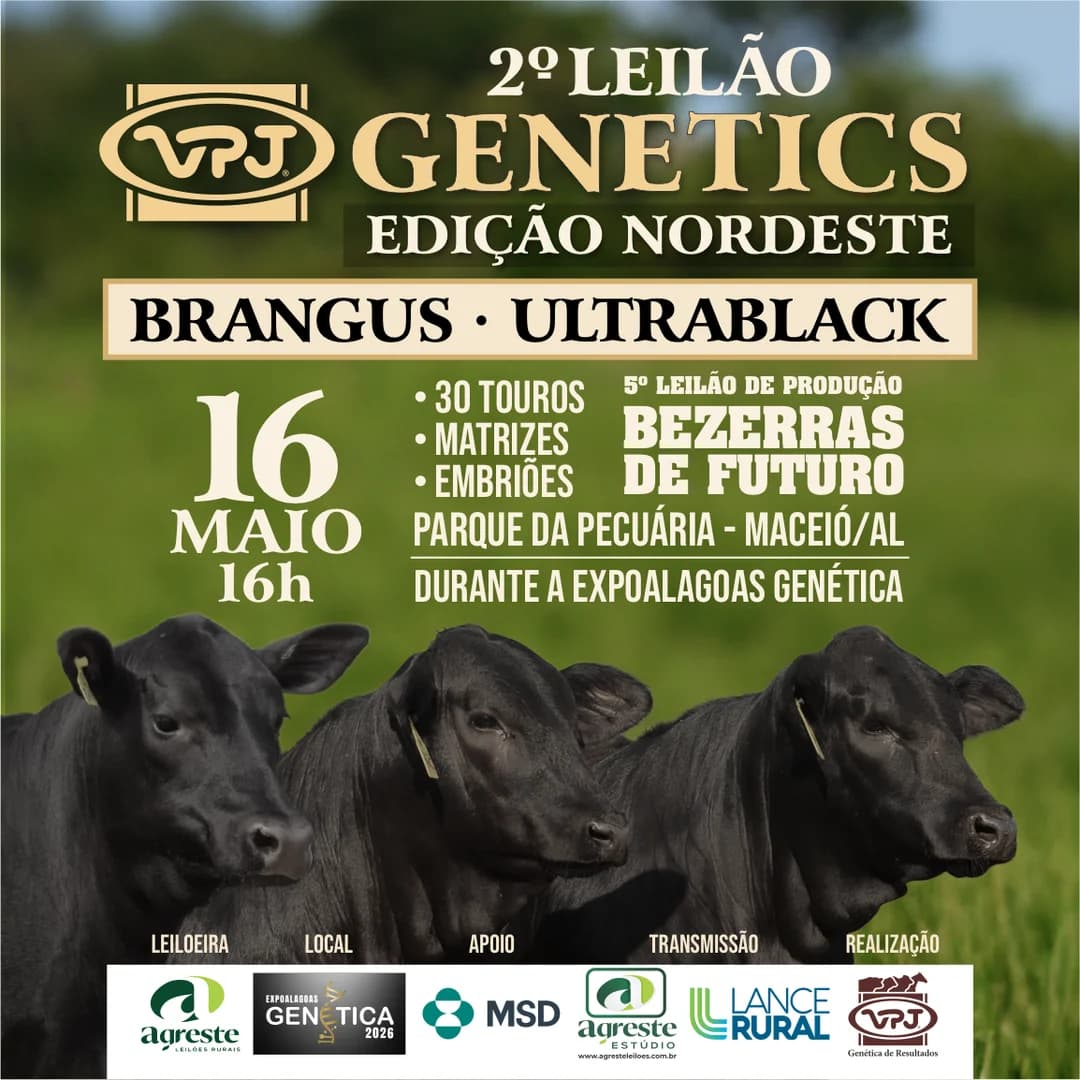 Cartaz do 2º LEILÃO VPJ NORDESTE