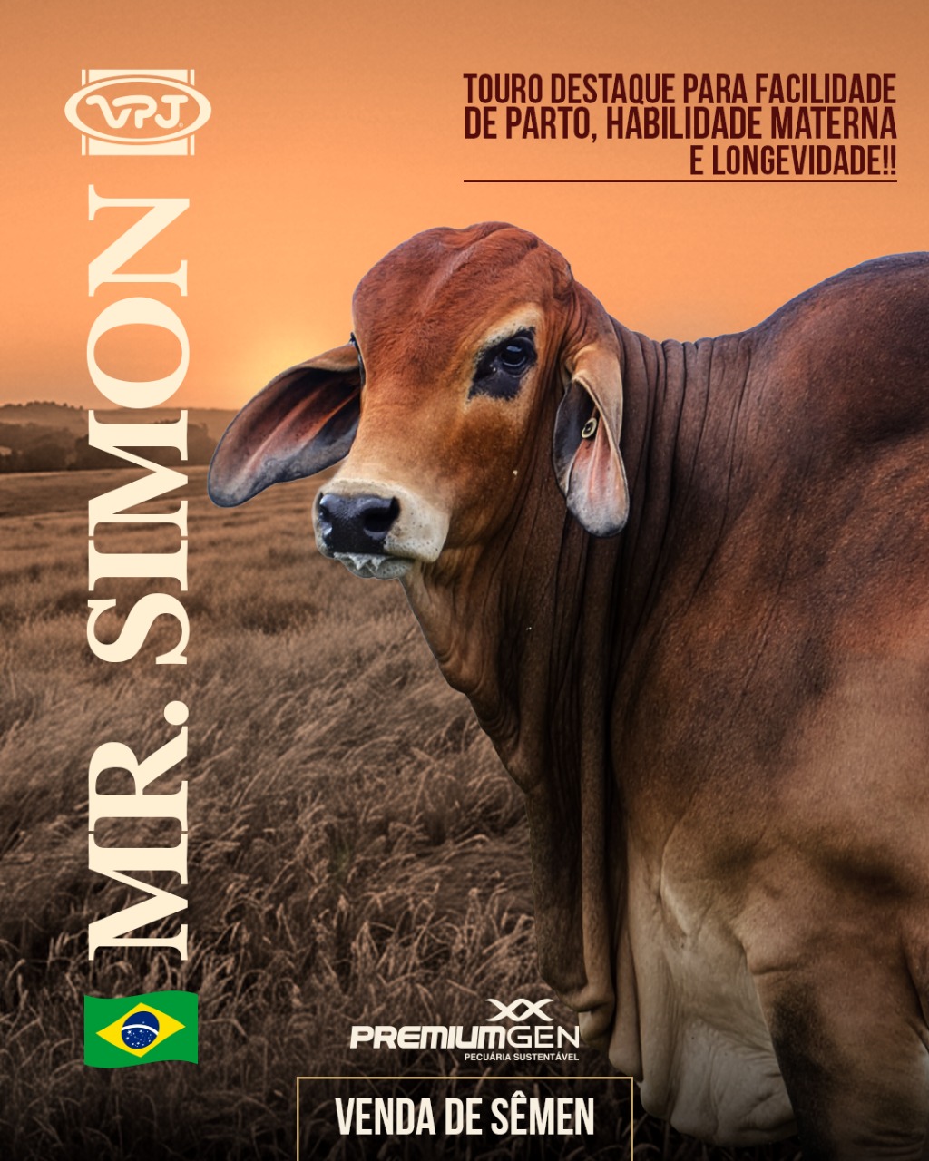 CAPA PÁG 01