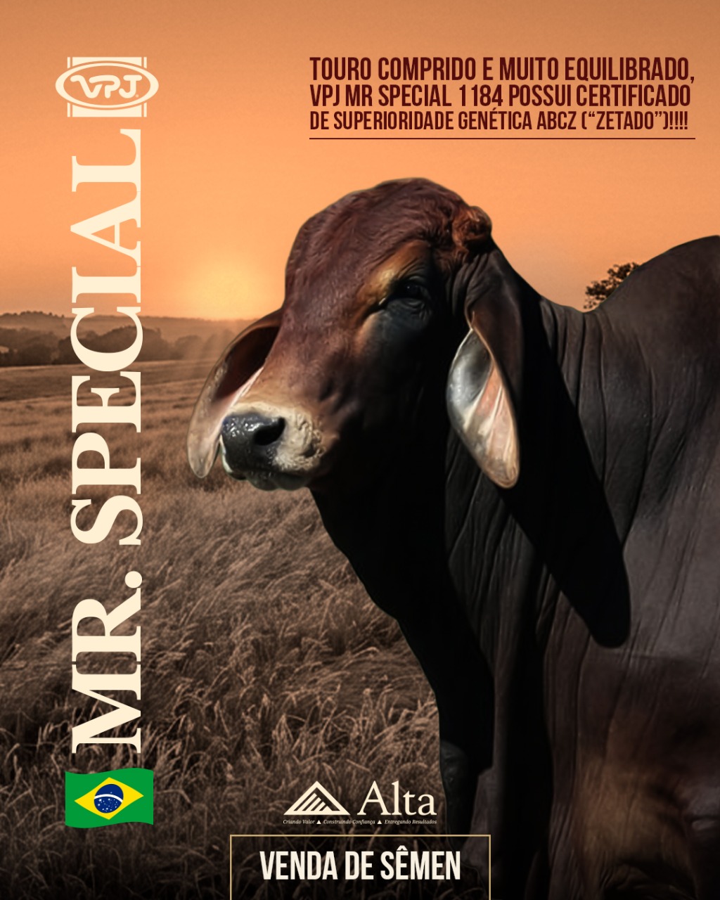 Criativo-Capa-RED-BHRAMAN-2