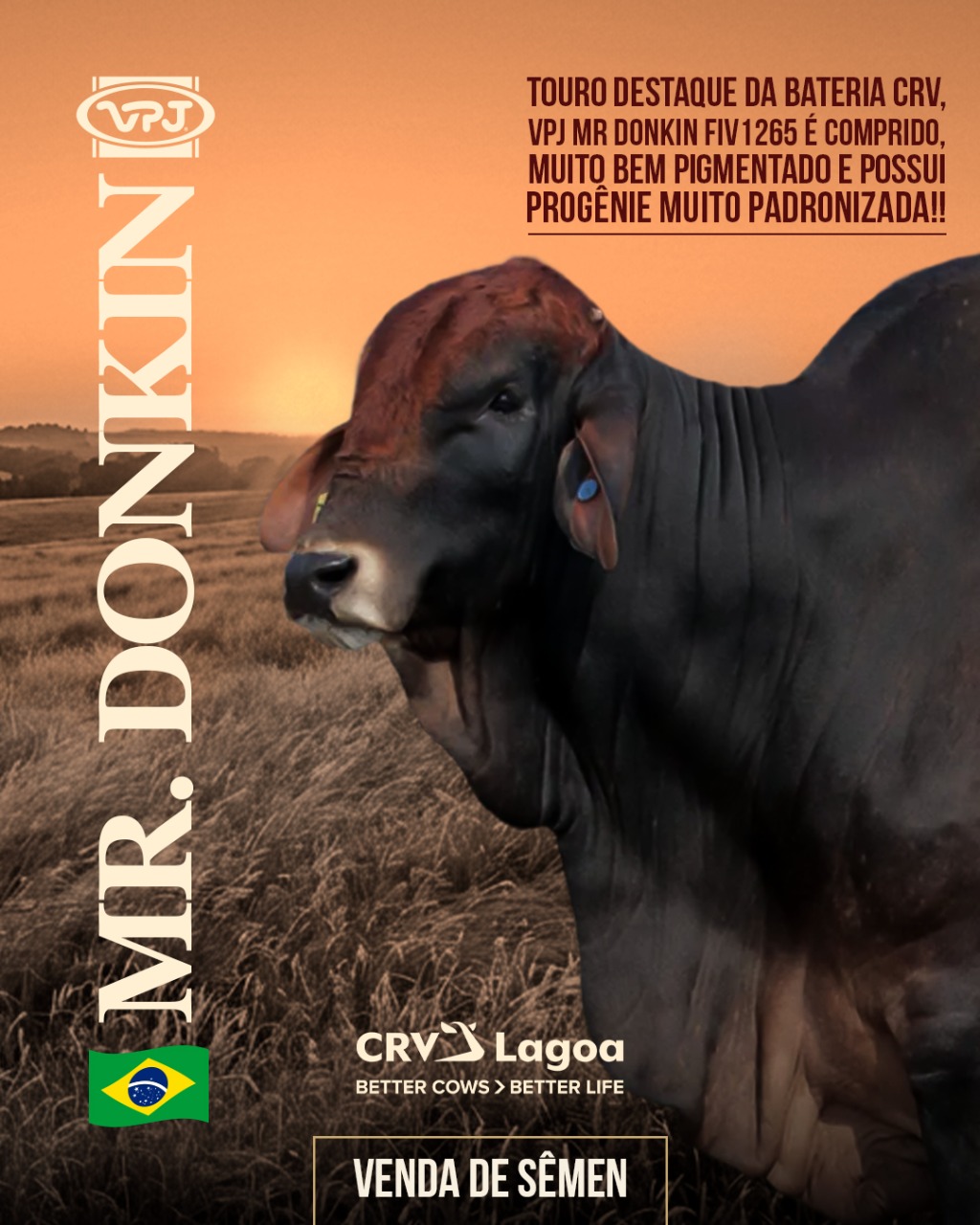 Criativo-Capa-RED-BHRAMAN-4