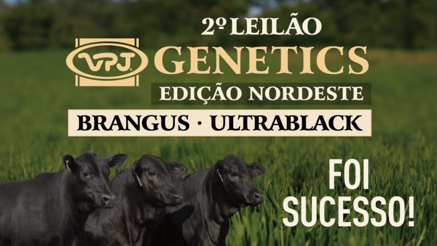 Banner-Site---2-Leilão-Nordeste---1024-x-576---SUCESSO.jpg