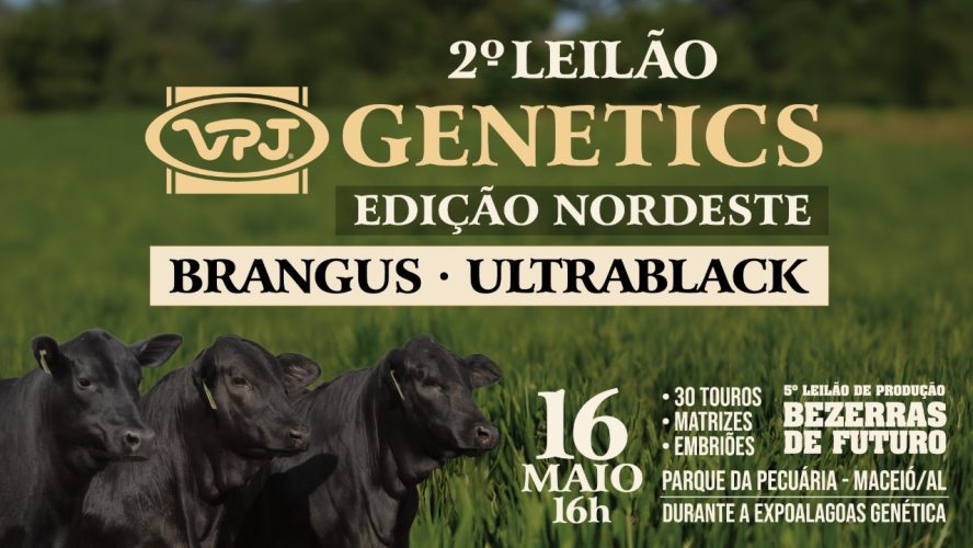 Capas-Redes-Sociais---2-Leilão-Nordeste---2048-x-1152 (1).jpg