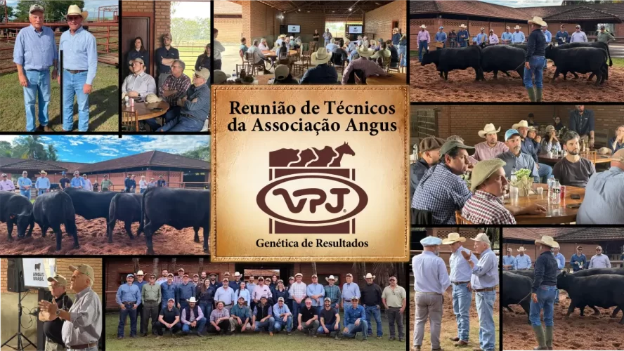 PEC site Encontro Assoc Angus Jun26